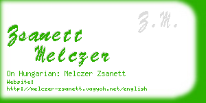 zsanett melczer business card